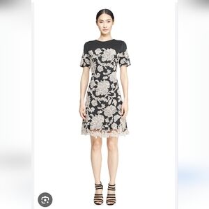Tadashi Shoji Sabi Dress In Black and Gold Floral Size 8